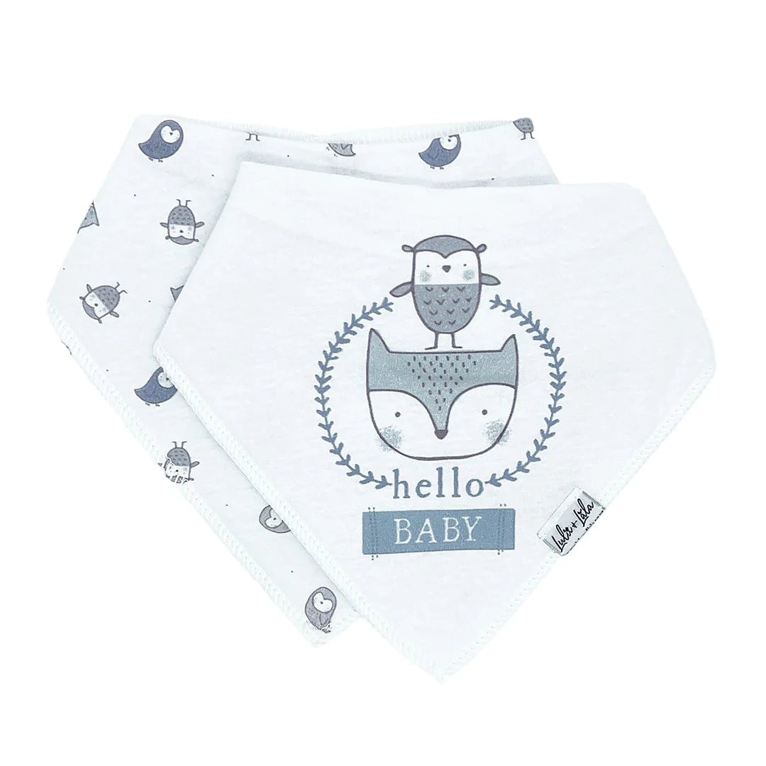 Bandana Bib 2 Pack