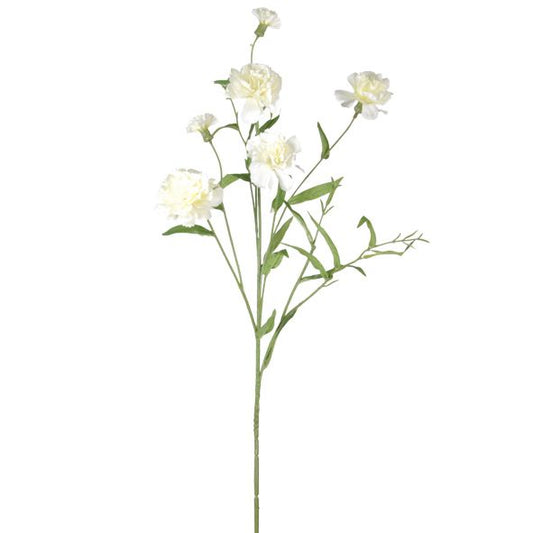 Carnation Stem