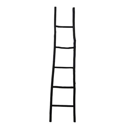 Decorative Ladder